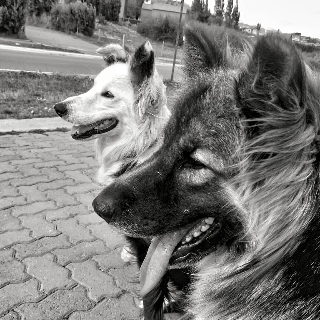 Kostenloser Ratgeber