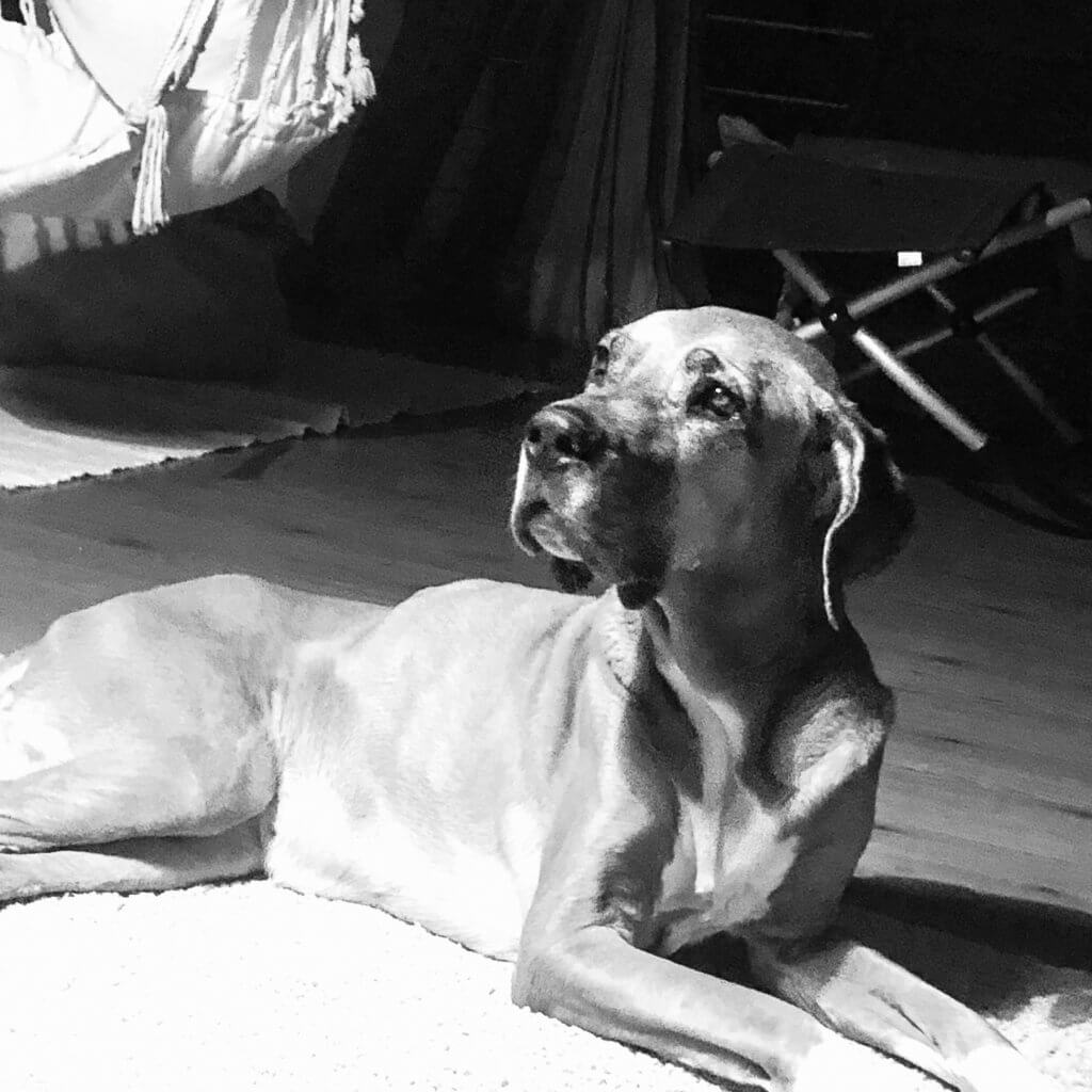 Kostenloser Ratgeber