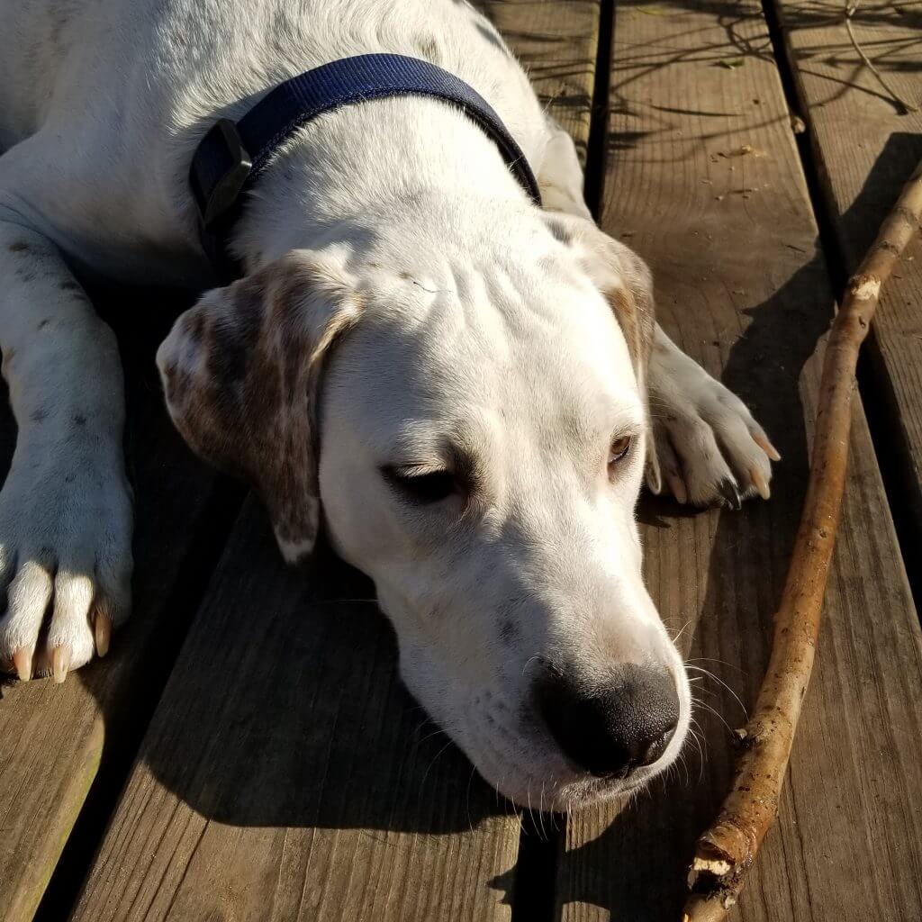 Kostenloser Ratgeber